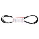 Motorcraft™ Serpentine Belt