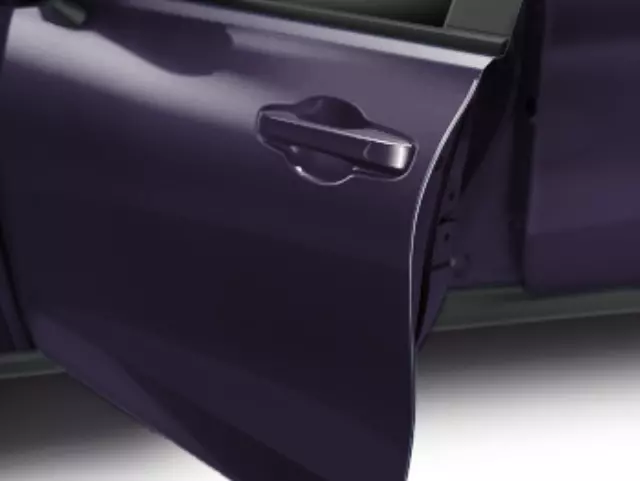 Door Edge Guards - Smokey Mauve Pearl