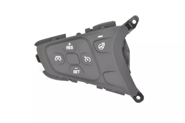 Black Cruise Control Switch