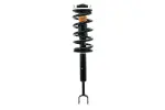 Focus Auto Parts Suspension Strut and Coil Spring Assembly