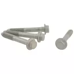 2018-2024 Ford - Differential Carrier Inner Bolt