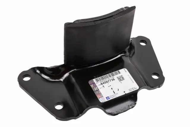 GM Stop Assembly-rear Spr Front 20873520