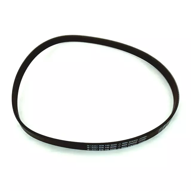 Serpentine Belt