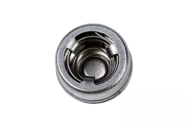 Steering Gear Check Valve