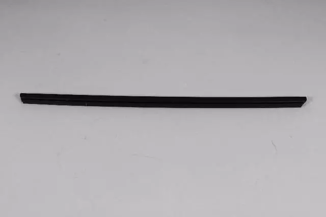 Front Door Belt Inner Weatherstrip, Right