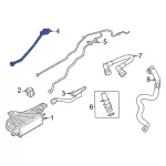 2020-2024 Ford - Vapor Hose