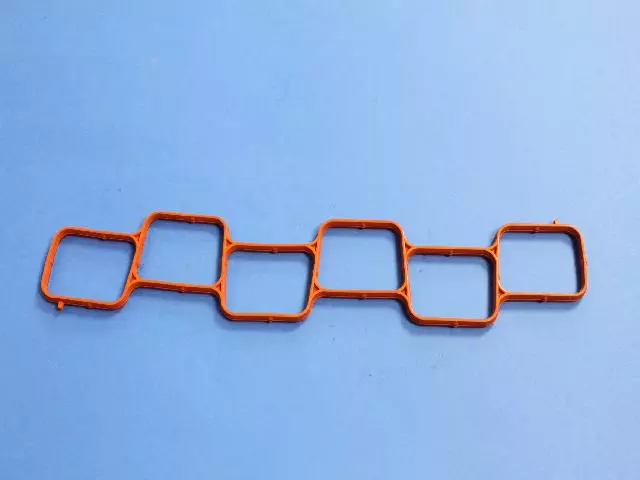 Intake Plenum Gasket