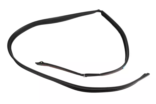 Weatherstrip Asm-Frt & Rr S/D Upr Aux
