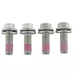 Caliper Support Bolt