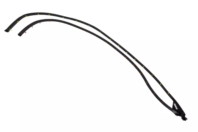 Front Passenger Side Door Weatherstrip