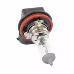 2004-2024 Ford - Fog Lamp Bulb