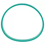 Intake Manifold Seal