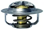 Facet Engine Coolant Thermostat