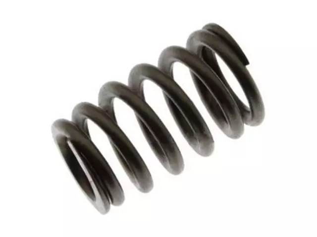 Valve Springs