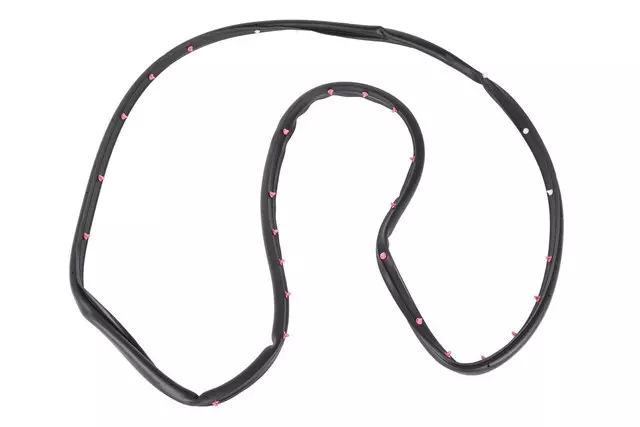 Driver Side Rear Door Weatherstrip