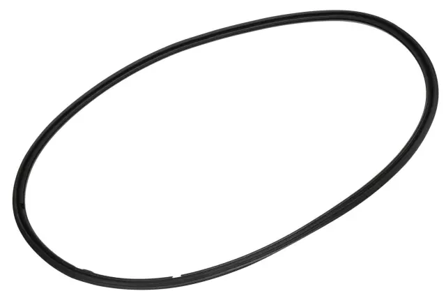 Side Door Window Weatherstrip