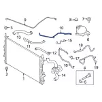 Engine Coolant Overflow Hose