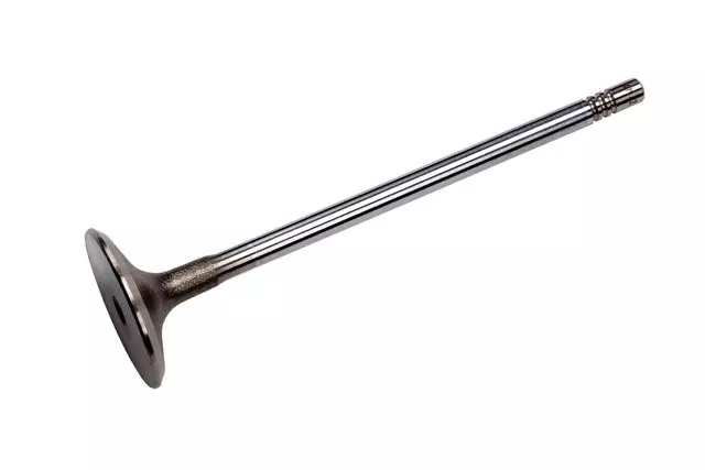 Engine Intake Valve