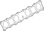 Manifold Gasket
