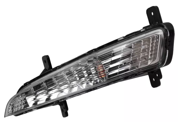 Driver Side Parking and Turn Signal Lamp
