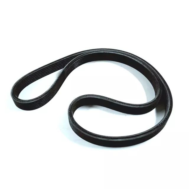Serpentine Belt