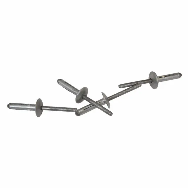 W705297-S300 - License Plate Bracket Rivet | Ford Parts Direct