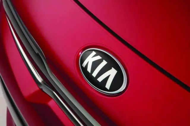 Hood Protector, Clear Appliqu?