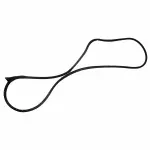 2004-2021 Ford Door Weather-Strip