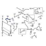 2020-2023 Ford Radiator Coolant Hose - Motorcraft (KM-6849)