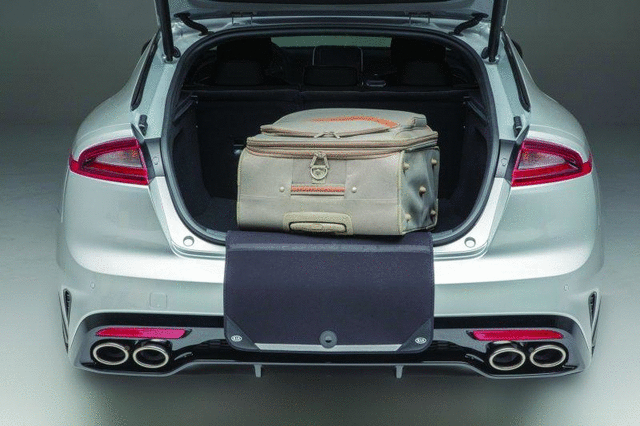 Trunk Sill Protector