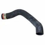 Motorcraft™ Lower Hose