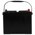 Motorcraft™ Vehicle Battery