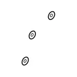 Splash Shield Washer