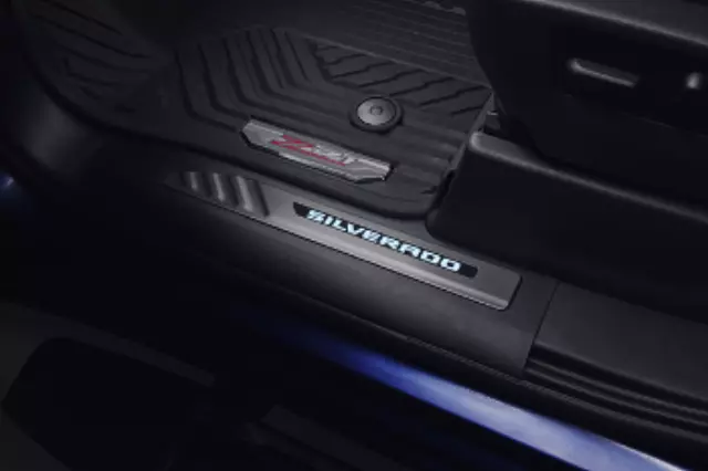 Door Sill Plates, Illuminated