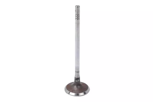 Intake Valve
