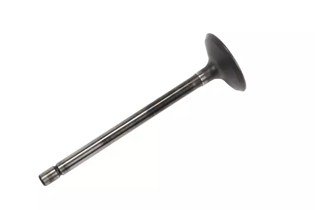Exhaust Valve