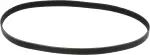 Serpentine Belt