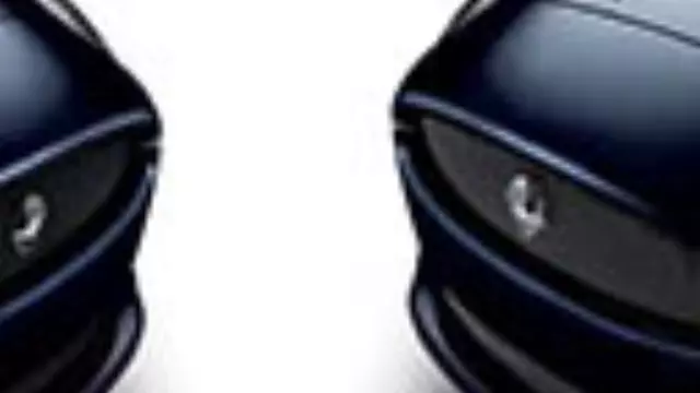 Lower Mesh Grille - Chrome