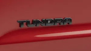 Exterior Emblem Blackout Overlays
