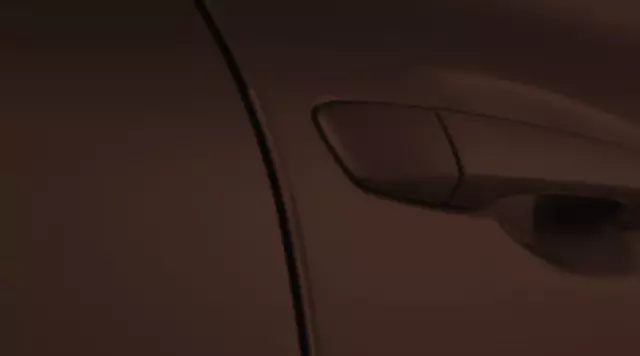 2011-2020 Lexus GX460 - Door Edge Guards, Fire Agate Pearl