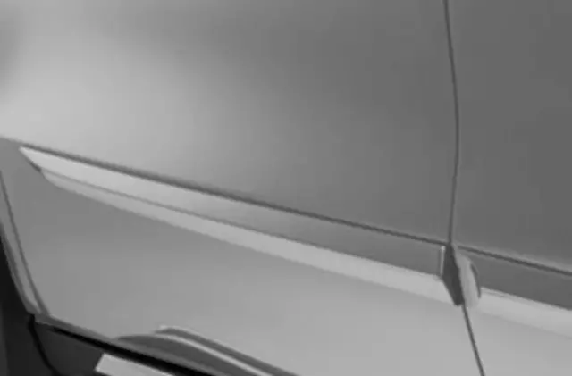 Body Side Molding - Silver Moon