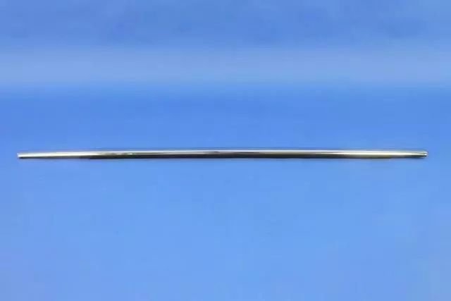 Door Belt Outer Weatherstrip, Right