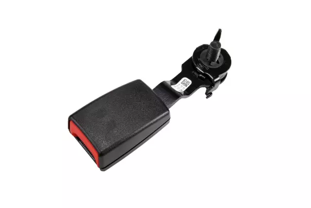 Ebony Rear Driver Side Seat Belt with Buckle