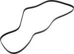 Serpentine Belt