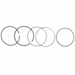 Piston Rings