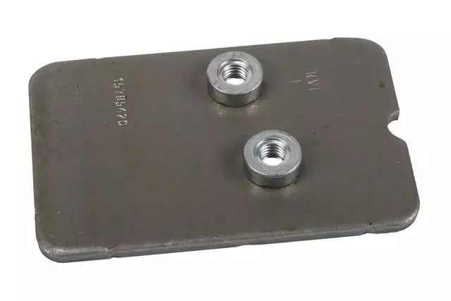 Driver Side Door Lower Hinge Anchor Plate