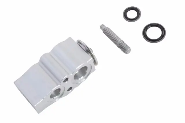 Valve Kit 86285559 | Chevy OEM Parts
