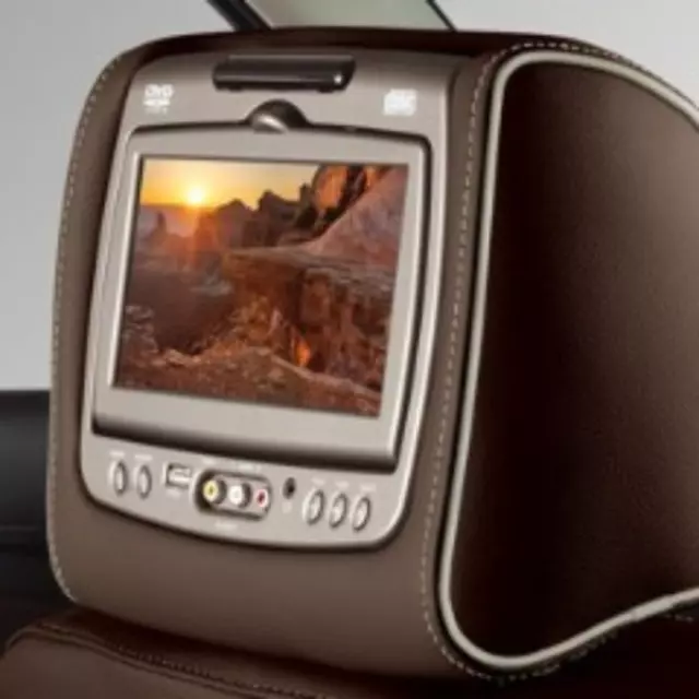 Headrest and Video Screen Assembly