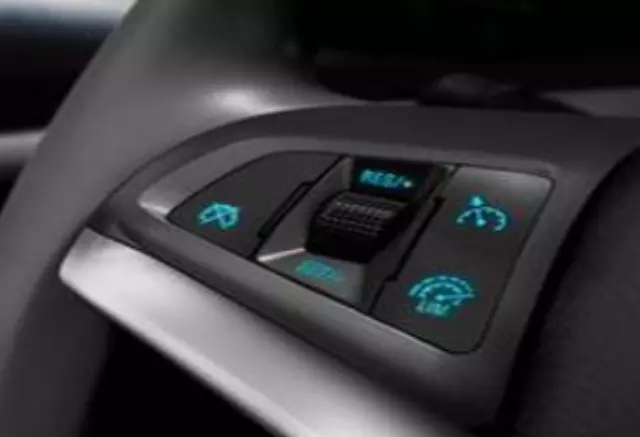 Steering Wheel W\\/Cruise And Radio Controls