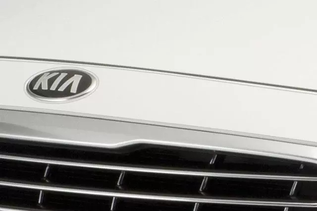 Hood Protector - Clear Applique